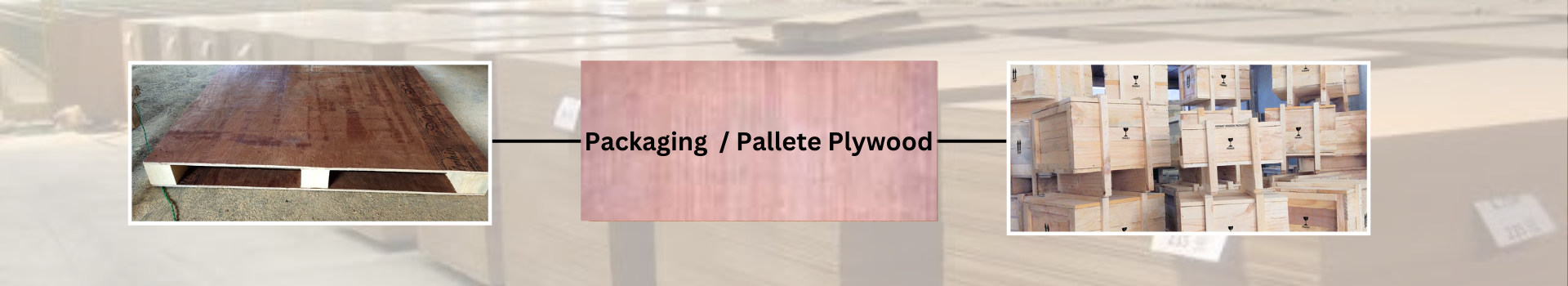 Packaging and Pallate plywood