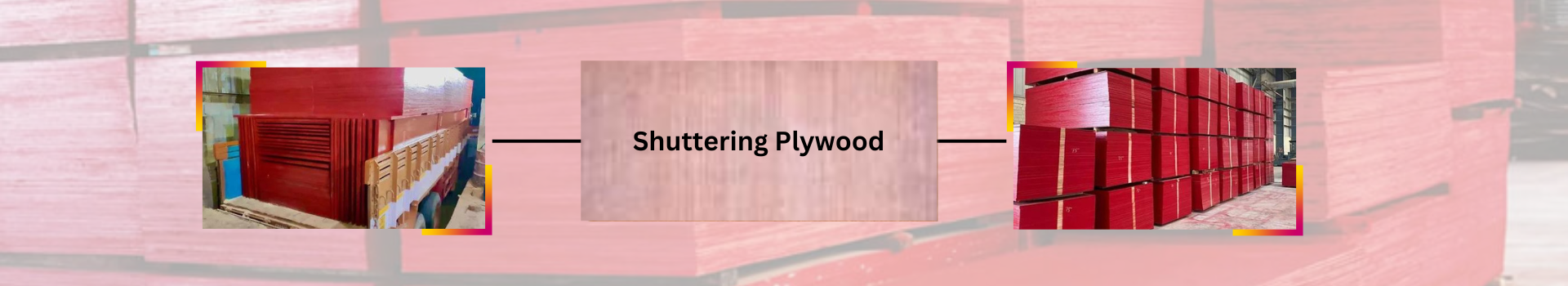 Shuttering Plywood header